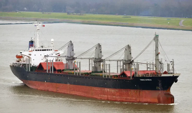 WEALTHY OCEAN Bulk Carrier IMO 8306852 photo 3