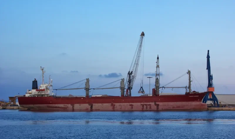 WEALTHY OCEAN Bulk Carrier IMO 8306852 photo 4
