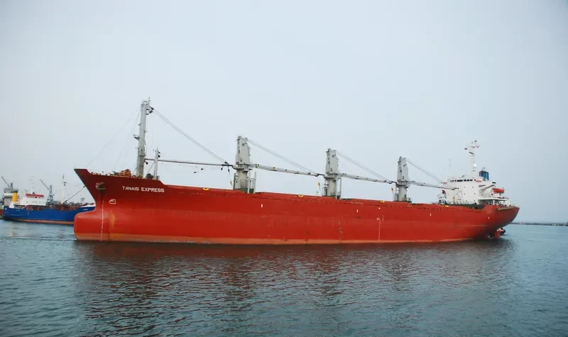 WEALTHY OCEAN Bulk Carrier IMO 8306852 photo 5
