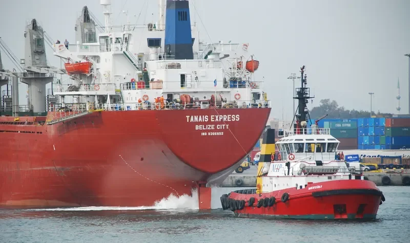 WEALTHY OCEAN Bulk Carrier IMO 8306852 photo 6