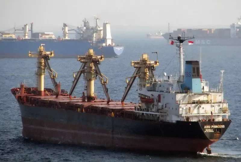 TAE YANG General Cargo IMO 8306929 photo 10