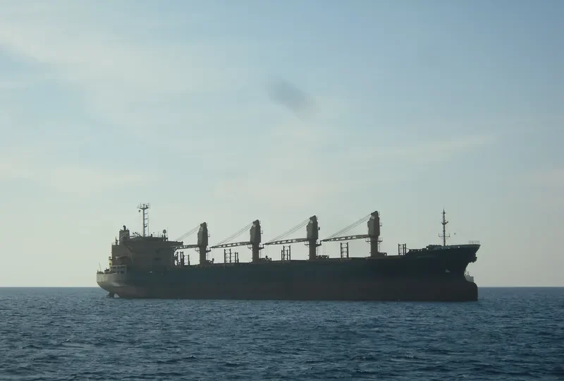 LADY SADIKA Bulk Carrier IMO 8307040 photo 2