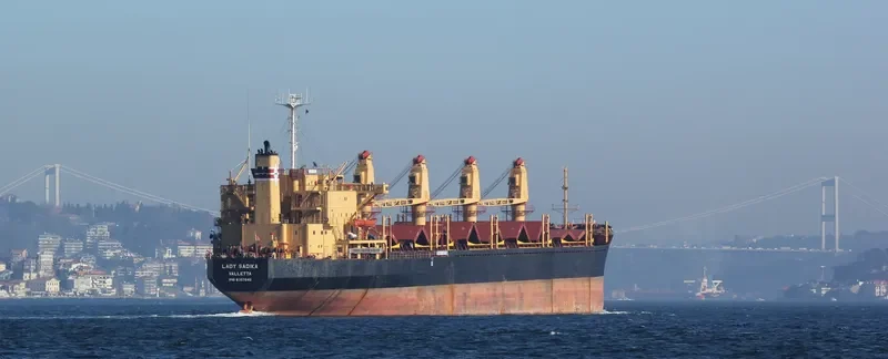 LADY SADIKA Bulk Carrier IMO 8307040 photo 3