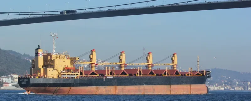 LADY SADIKA Bulk Carrier IMO 8307040 photo 4