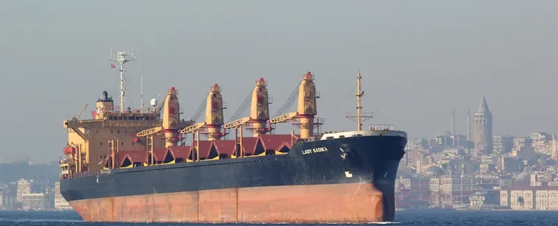 LADY SADIKA Bulk Carrier IMO 8307040 photo 5