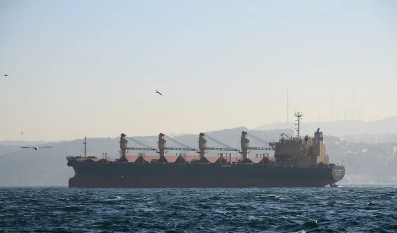 LADY SADIKA Bulk Carrier IMO 8307040 photo 6