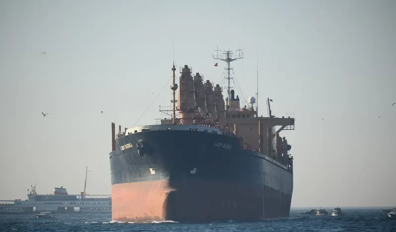 LADY SADIKA Bulk Carrier IMO 8307040 photo 7