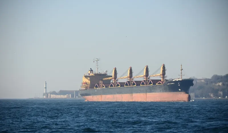 LADY SADIKA Bulk Carrier IMO 8307040 photo 9