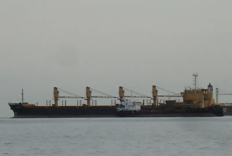 LADY SADIKA Bulk Carrier IMO 8307040 photo 10
