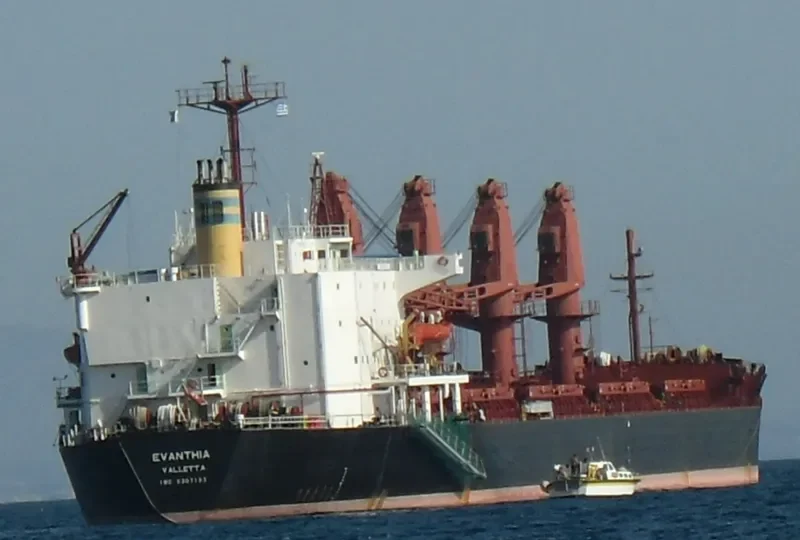 MARY Bulk Carrier IMO 8307193