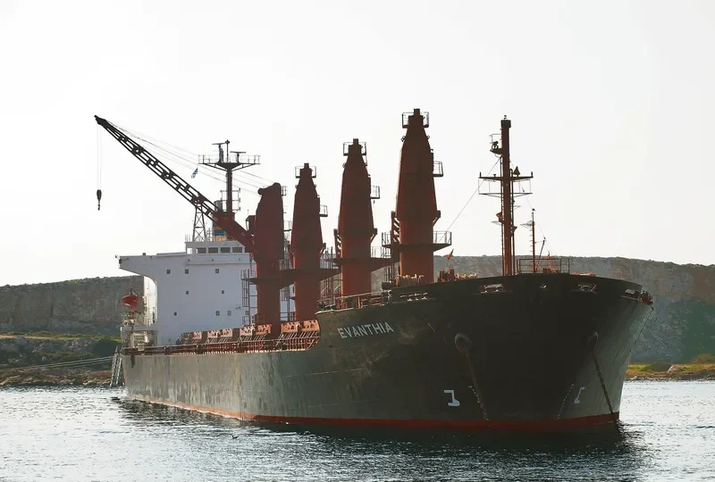 MARY Bulk Carrier IMO 8307193 photo 2