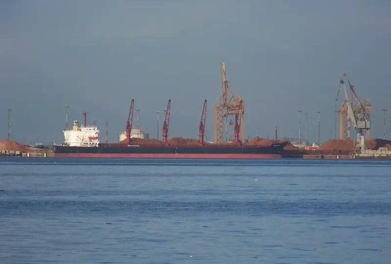 MARY Bulk Carrier IMO 8307193 photo 3