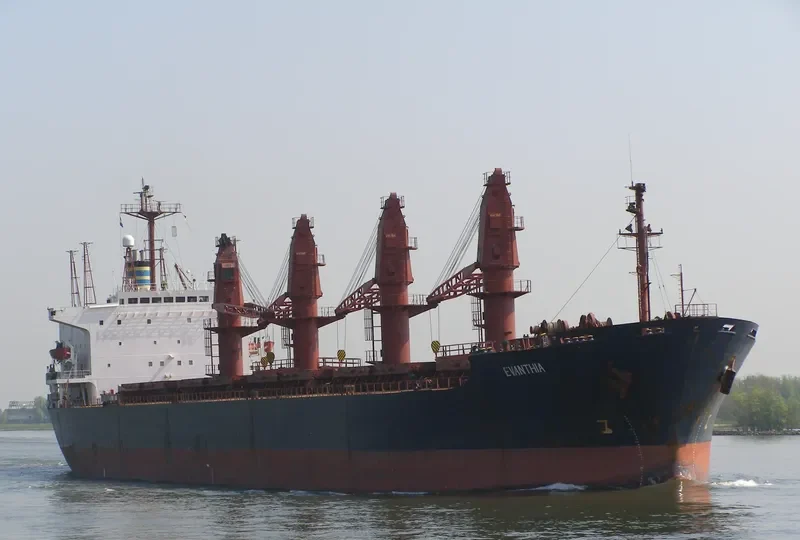 MARY Bulk Carrier IMO 8307193 photo 4
