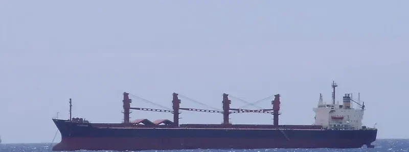 MARY Bulk Carrier IMO 8307193 photo 6