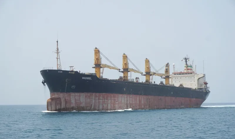 VADIBEL Bulk Carrier IMO 8307753