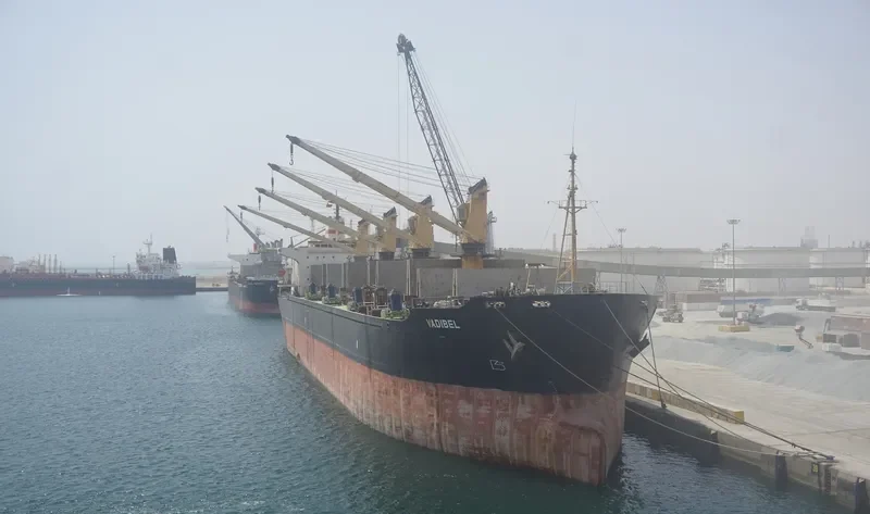 VADIBEL Bulk Carrier IMO 8307753 photo 2