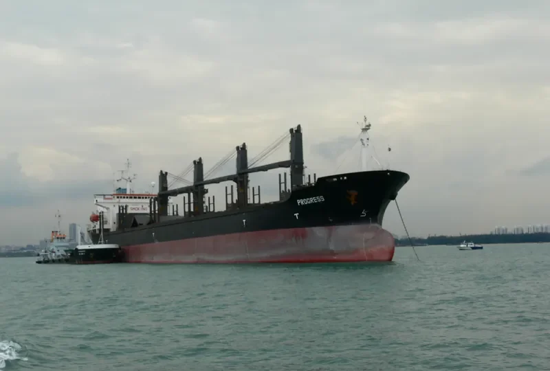 VADIBEL Bulk Carrier IMO 8307753 photo 4