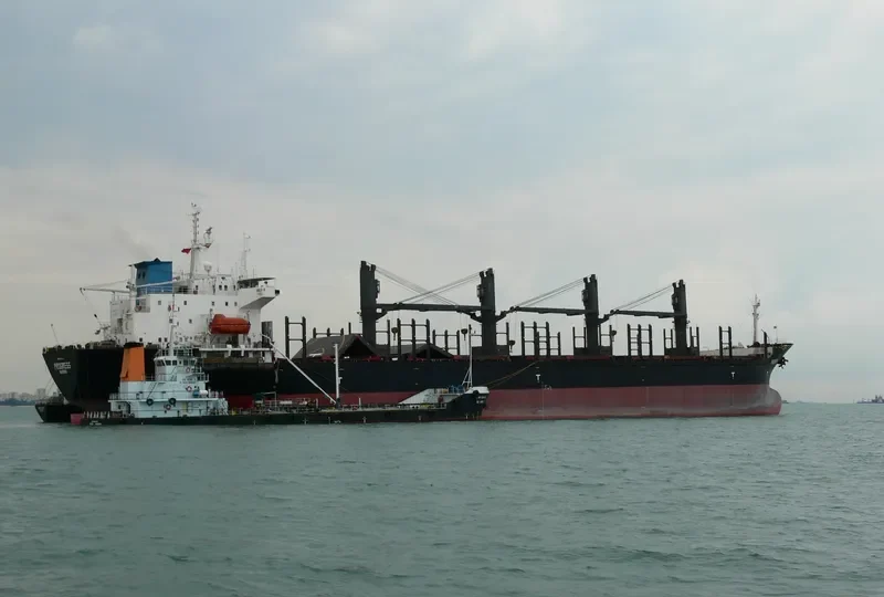 VADIBEL Bulk Carrier IMO 8307753 photo 5
