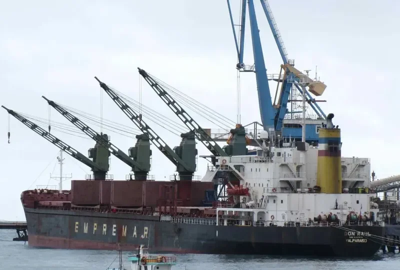 DON RAUL Bulk Carrier IMO 8307870