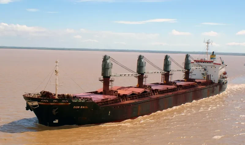 DON RAUL Bulk Carrier IMO 8307870 photo 2