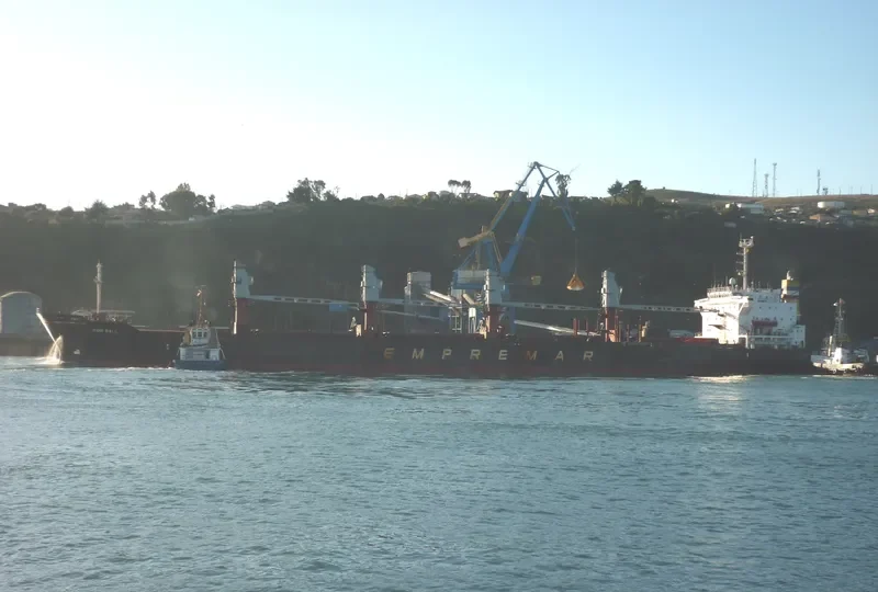 DON RAUL Bulk Carrier IMO 8307870 photo 3