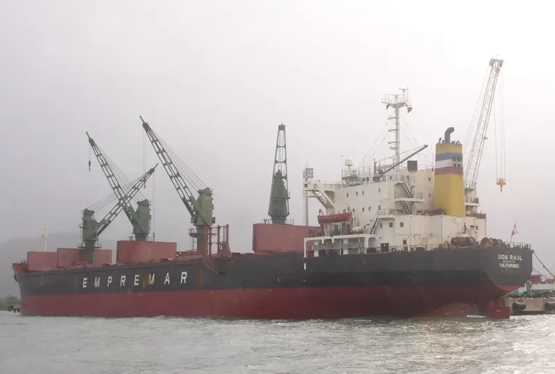 DON RAUL Bulk Carrier IMO 8307870 photo 4