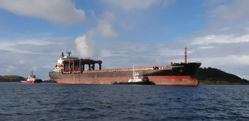 CURACAO PEARL General Cargo IMO 8308147