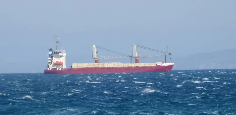 RAFIF General Cargo IMO 8308757 photo 8
