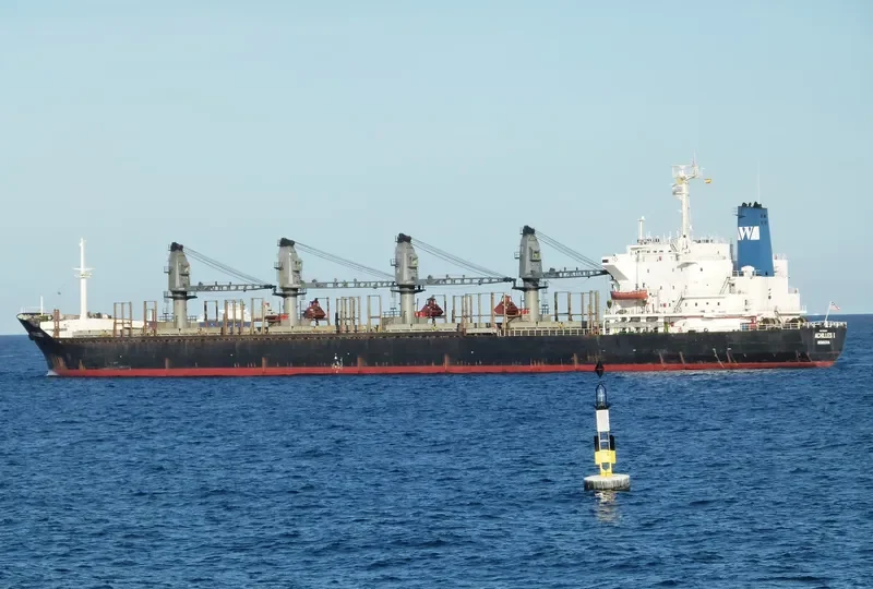 ACHILLES I Bulk Carrier IMO 8308862