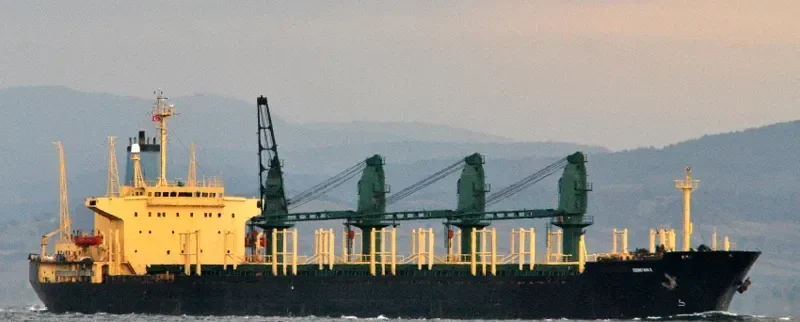AMAL Bulk Carrier IMO 8309294 photo 3