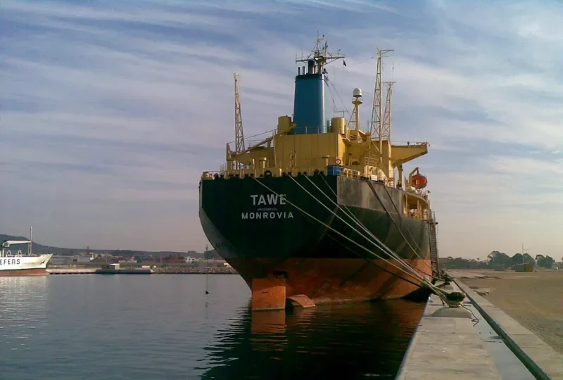 AMAL Bulk Carrier IMO 8309294 photo 4