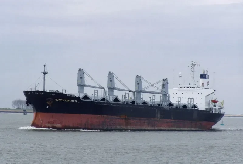 LOVESTAR II Bulk Carrier IMO 8309359 photo 3