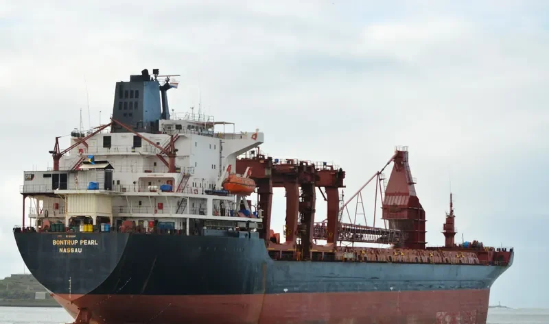 BONTRUP PEARL General Cargo IMO 8309397 photo 2