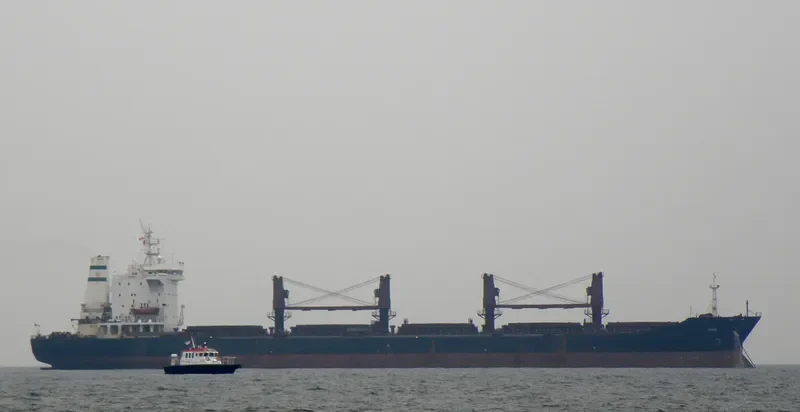 OCEAN 1 Bulk Carrier IMO 8309634 photo 2