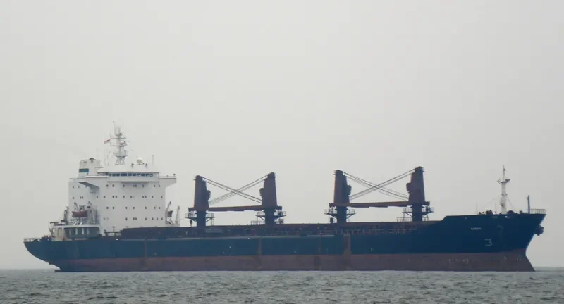 OCEAN 1 Bulk Carrier IMO 8309634 photo 3