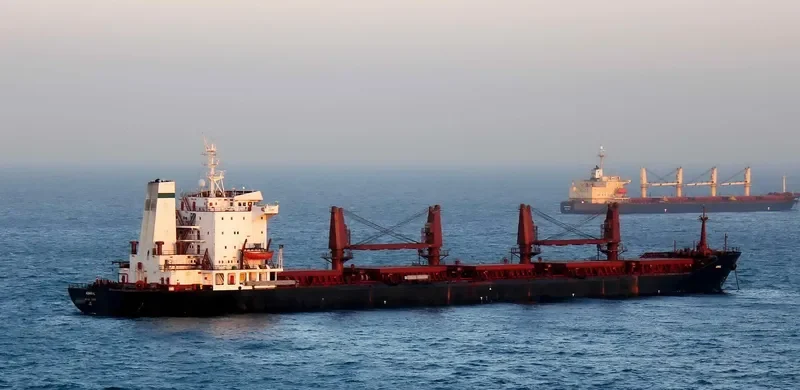 SHADFAR Bulk Carrier IMO 8309696