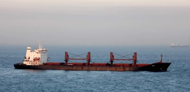 SHADFAR Bulk Carrier IMO 8309696 photo 2