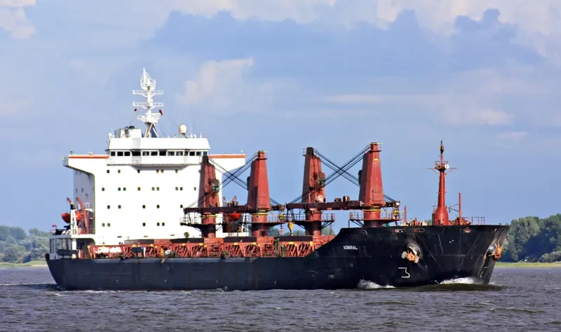 SHADFAR Bulk Carrier IMO 8309696 photo 3