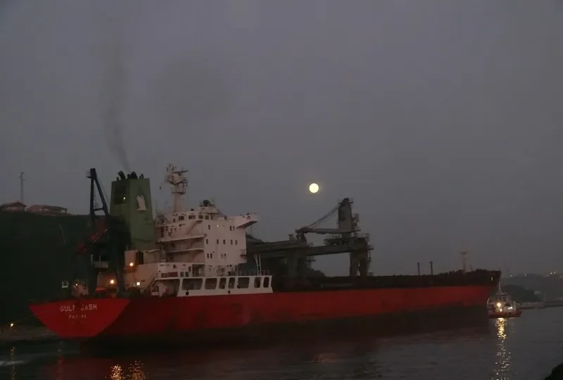 HUA WEN Bulk Carrier IMO 8309816
