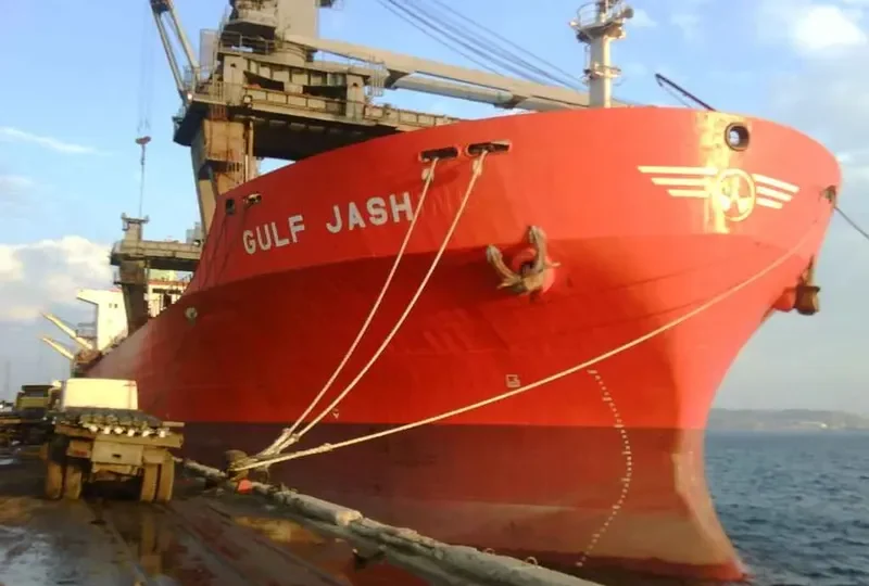HUA WEN Bulk Carrier IMO 8309816 photo 2
