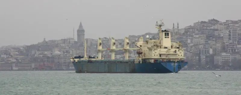 ALFA Bulk Carrier IMO 8309866