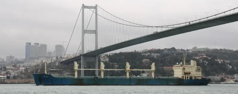 ALFA Bulk Carrier IMO 8309866 photo 2