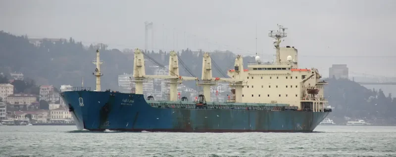 ALFA Bulk Carrier IMO 8309866 photo 3