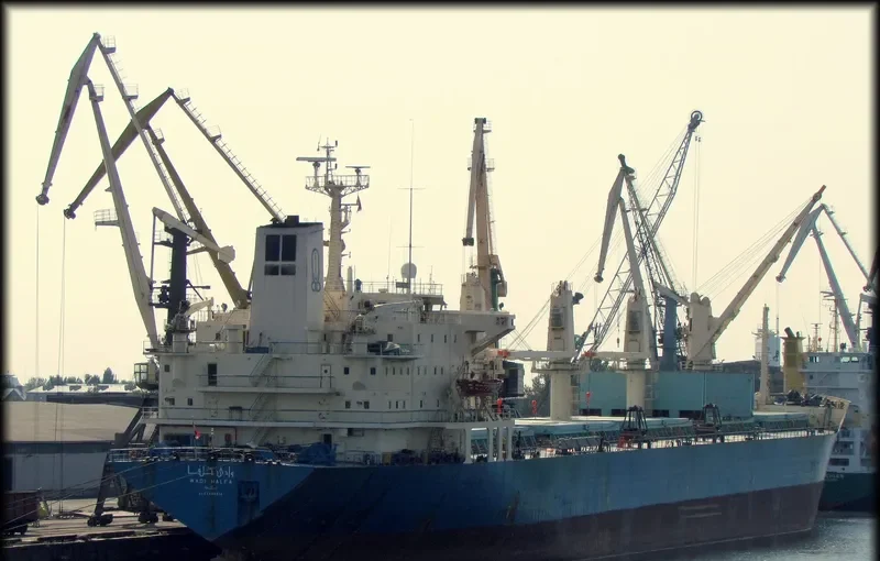 ALFA Bulk Carrier IMO 8309866 photo 5