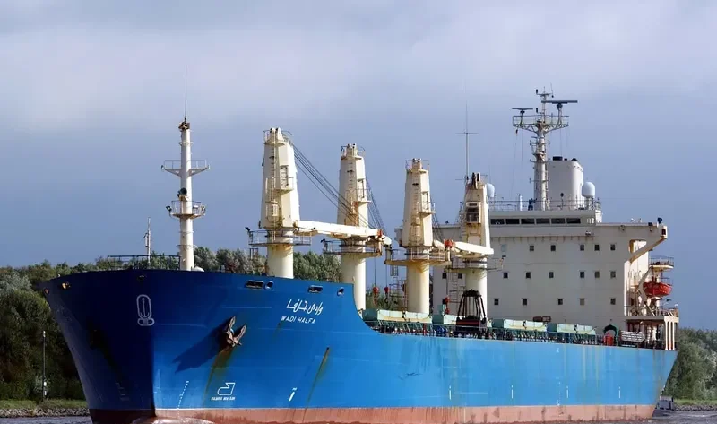 ALFA Bulk Carrier IMO 8309866 photo 9