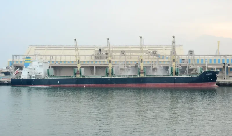 STELIOS B Bulk Carrier IMO 8309878