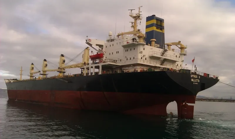 SPYROS B Bulk Carrier IMO 8309880 photo 3