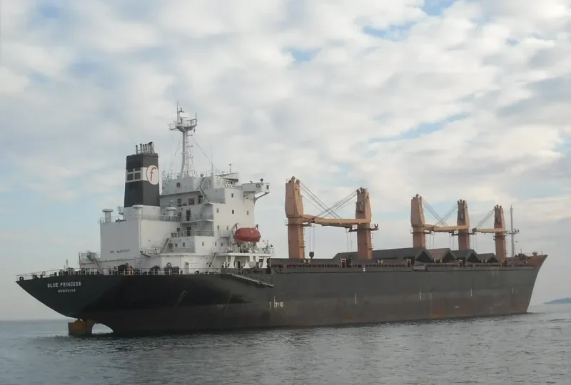 BLUE PRINCESS General Cargo IMO 8311077