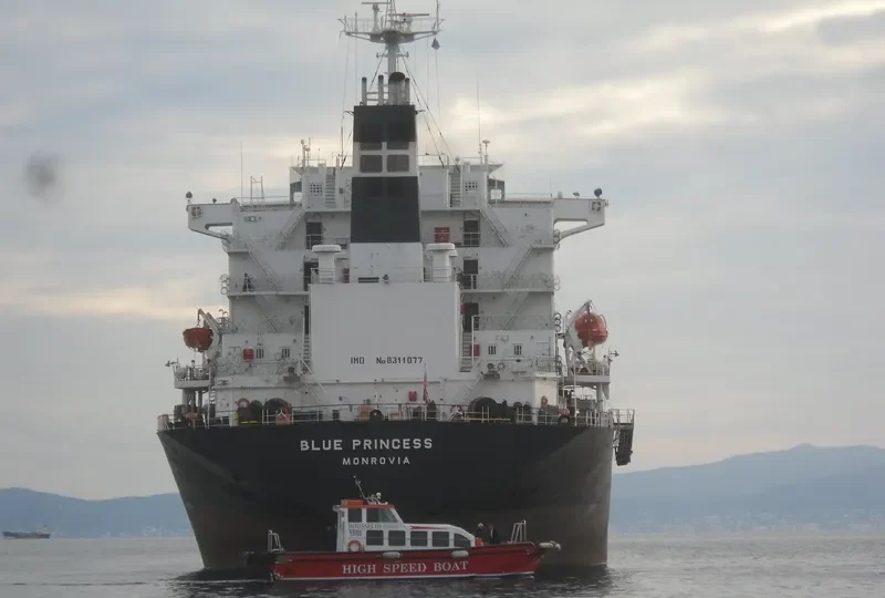 BLUE PRINCESS General Cargo IMO 8311077 photo 2