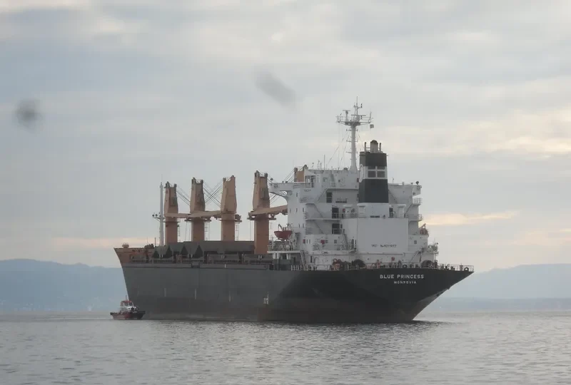 BLUE PRINCESS General Cargo IMO 8311077 photo 3